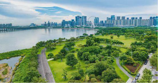 观山海家园南山实验教育集团荔湾小学、深大附中初中部等优质学校